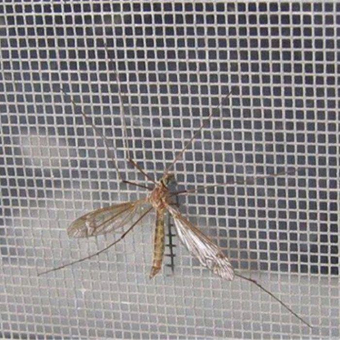 Anti